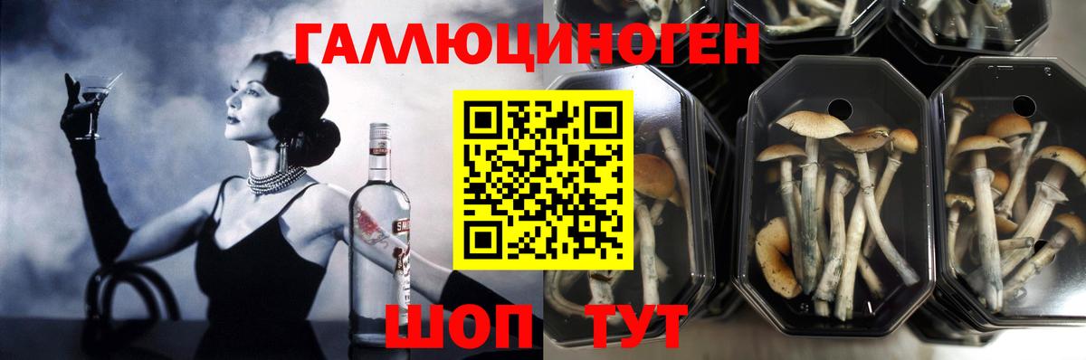 Псилоцибиновые грибы Magic Shrooms Азнакаево